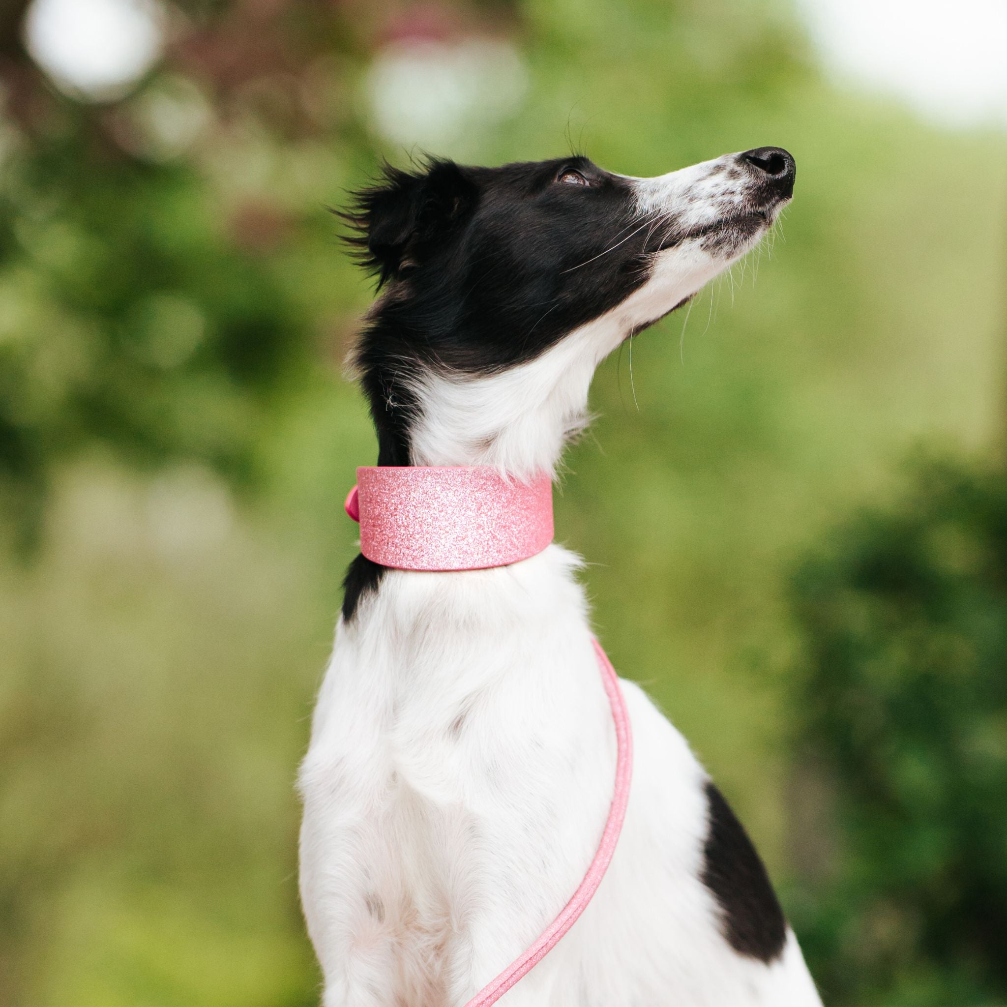 Pink Glitter Dog Collar Wide