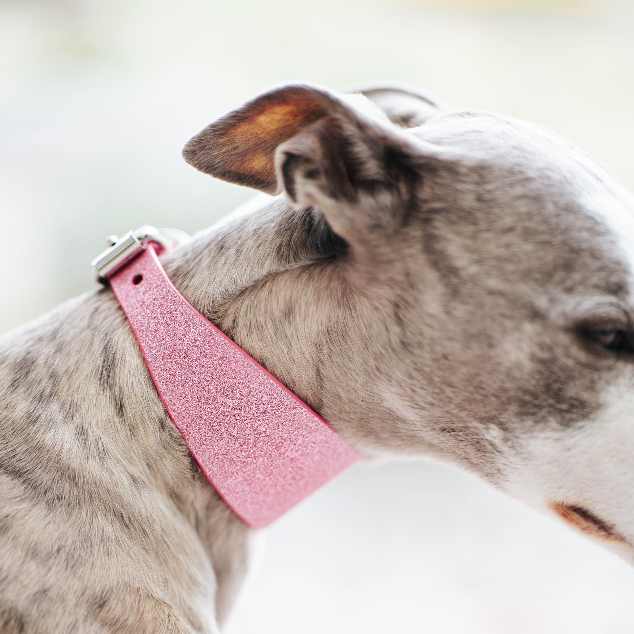 Pink Glitter Dog Collar Wide